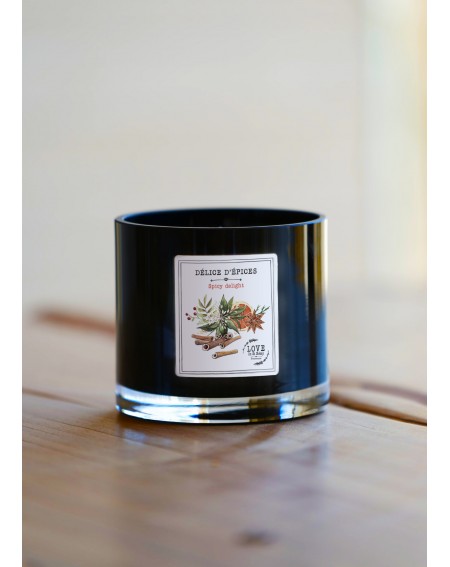 3 wick "Spicy Delight" scented candle