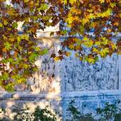 Vivre à Saint-Rémy au fil des saisons 🌿🌞🍁
Quand tout change… et tout reste merveilleusement poétique.

#autumnleaves #saisons #stremydeprovence
#glanum #autumncolors🍁
-
Photo 📷@thierryteisseire 
-
#loveinstremy #lavie #lamour #laboheme #histoire #archeologie #patrimoine #saintremydeprovence #lesalpilles #bonweekendatous #frenchfragrance #fragrance #seasons #Provence #naturelovers #alpilleslovers #monumenthistorique #lesantiques #southoffrance🇫🇷