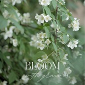 𝑩𝒍𝒐𝒐𝒎 𝒘𝒊𝒕𝒉 𝒈𝒓𝒂𝒄𝒆. 🌿🍃 Le jasmin en fleurs évoque si bien les jardins provençaux embaumés par l'été. ✨Une invitation gracieuse à toujours plus de poésie.

𝑻𝒉𝒆 𝒋𝒂𝒔𝒎𝒊𝒏𝒆 𝒊𝒏 𝒃𝒍𝒐𝒐𝒎 🌿🍃 evokes the Provençal gardens fragrance in the summer.✨ A graceful invitation to poetry..

#jasmindespoetes #jasminflowers #provencalgarden #nature #mediterraneangarden #senteurs #lesud #fragrance #pureté #jasmineblossom #provence #loveinstremy  #seringat #blossom #poetry #bloom