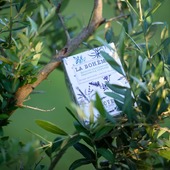 Cette année, les cloches ont eu de l'imagination : une pluie de bougies parfumées et de jolis cahiers dans l’olivier du jardin. 🌿✨🕯 Illumination et inspiration réunies... 

This year, the Easter bells got creative: a shower of scented andles and pretty notebooks in the garden’s olive tree. 🌿✨🕯 Illumination and inspiration, all in one…
-
-
-
-
Photos : @thierryteisseire 
-
#dimanche #bougiesparfumees #cahiersjolis #paquescréatif #décoinspirante #universpoétique #faitavecamour #inspirationdujour #danslejardin #écriturecréative #paques2025 #cadeauoriginal #slowlife #momentmagique #happyeaster🐰 #fabriqueenprovence #créationfrançaise